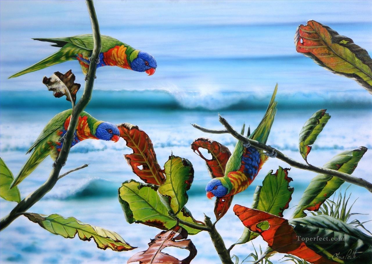 parrots meeting birds Oil Paintings
